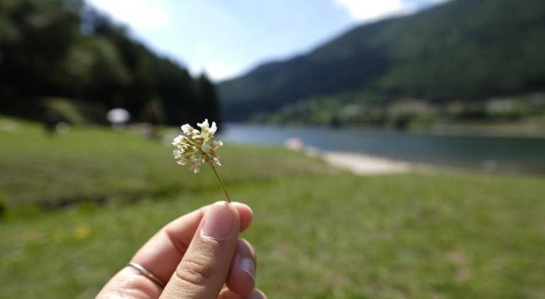 foto41