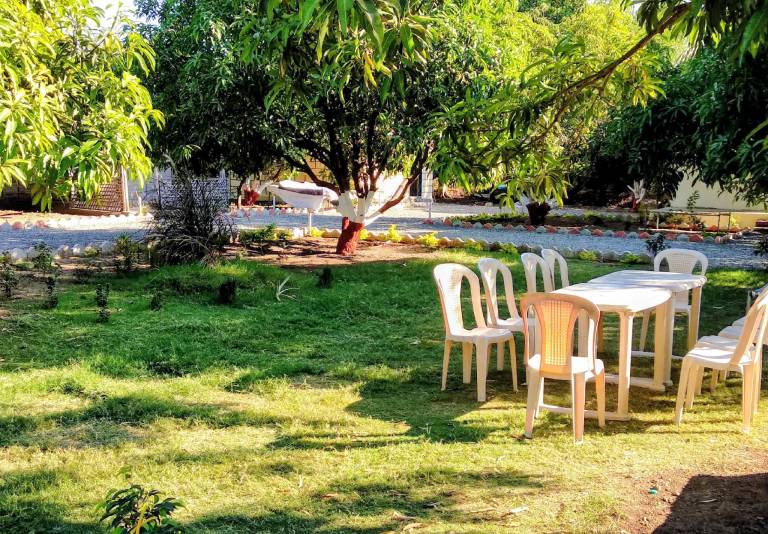 Farm with garden — photo 4