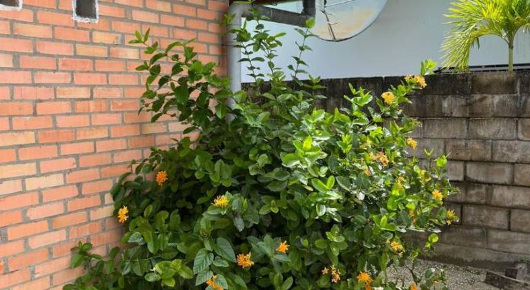 foto16