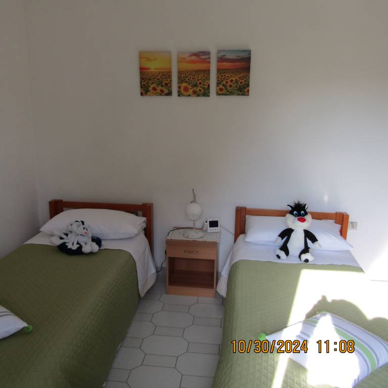 foto38