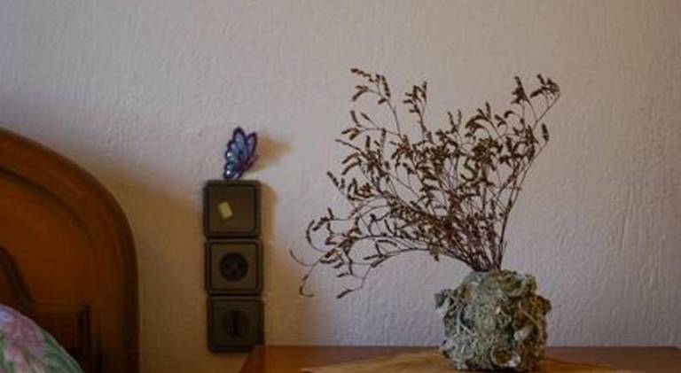 foto47