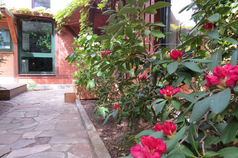 Blühende Rhododendronbüsche säumen einen gepflasterten Weg neben einem Backsteinhaus. [Strandhaus Möve] [Wustrow]