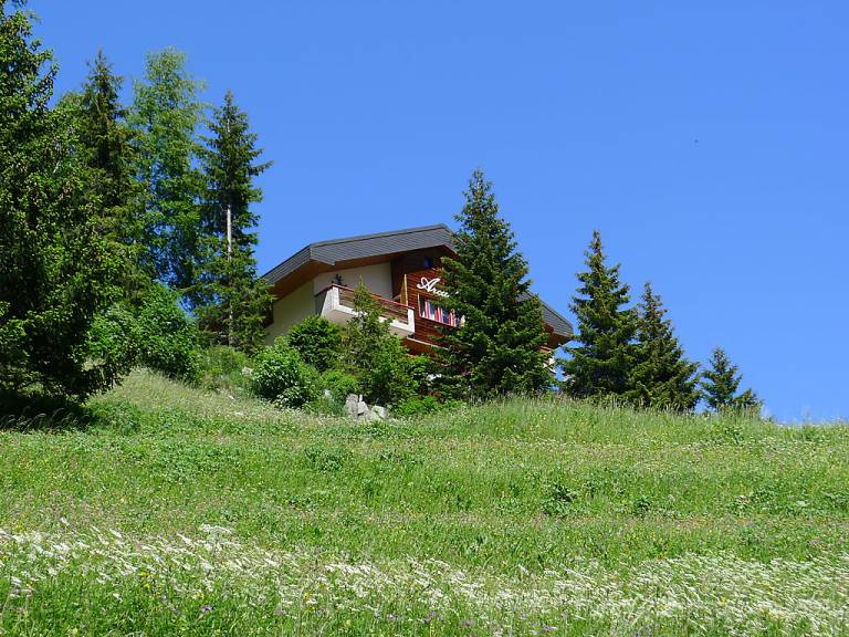 foto10