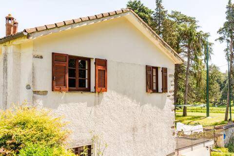 Big vacation home | Pets allowed — photo 4