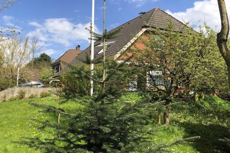 Ferienhaus Westerholz