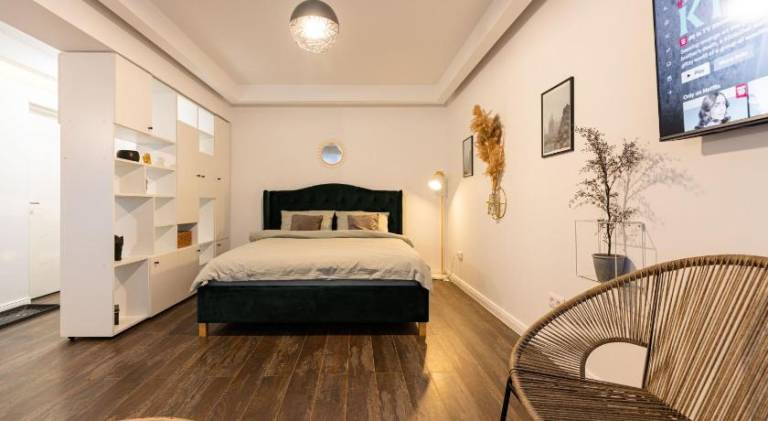 Apartman Coltău
