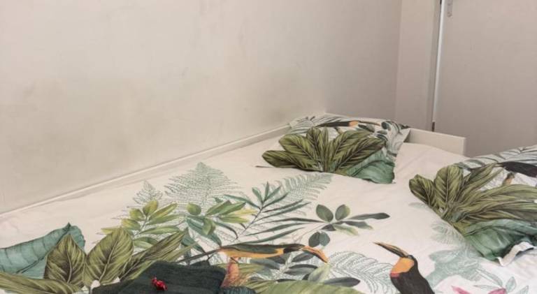 Rental apartment | Pets are welcome in Castelnaudary