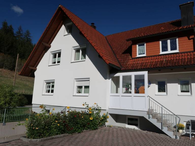 foto11