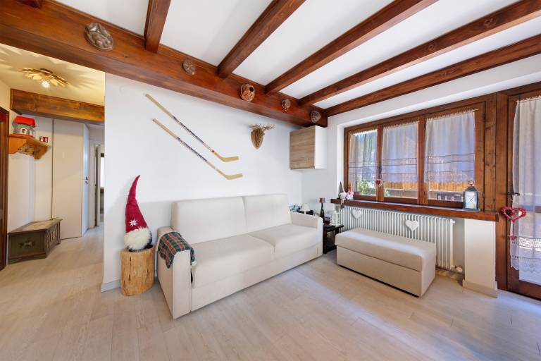 Casetta Del Caregon: Tranquility, woods, and a huge terrace with Pelmo view in Vinigo di Cadore — photo 4
