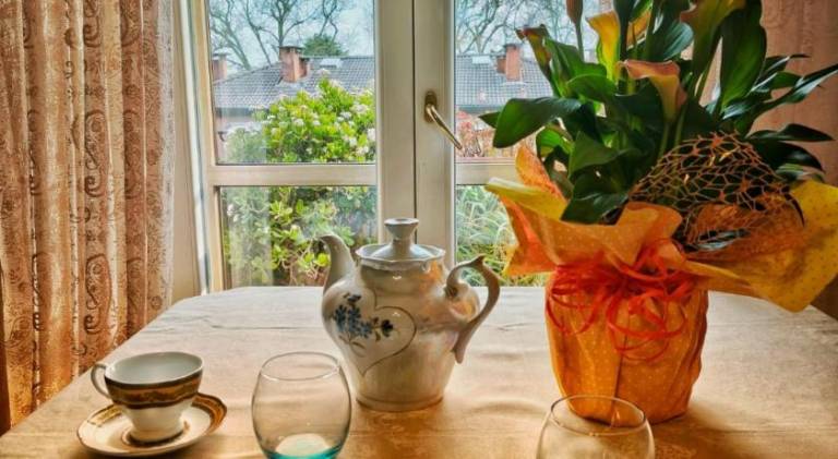 Apartment | Pet-friendly in Mestre