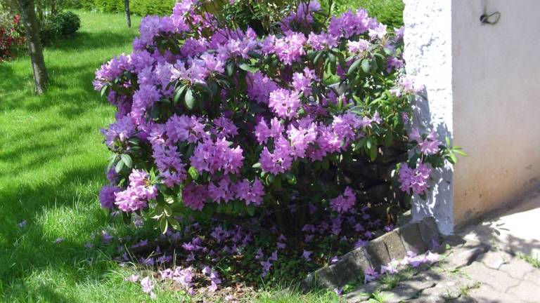 foto15