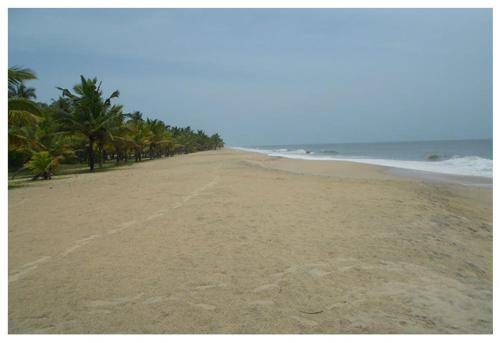Bed and breakfast Cherthala