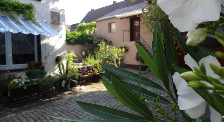 foto11