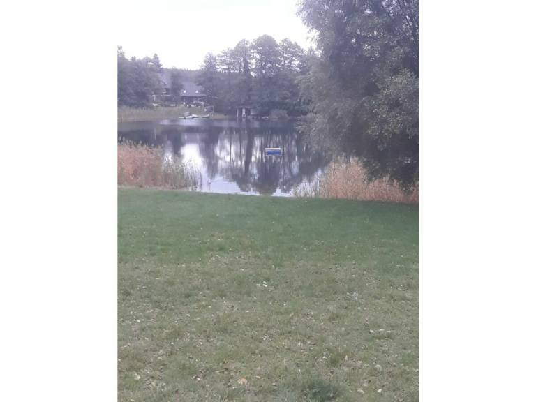 foto19