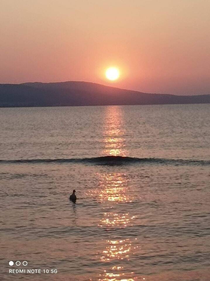 foto23