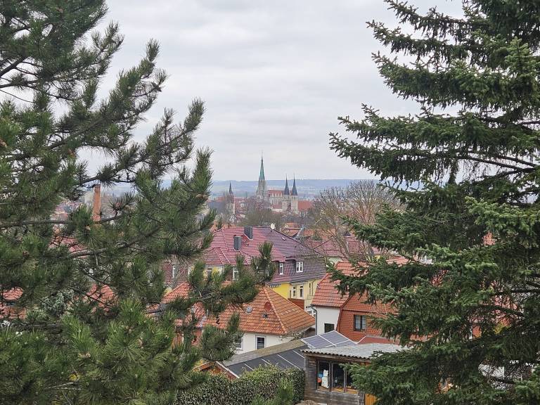 foto29