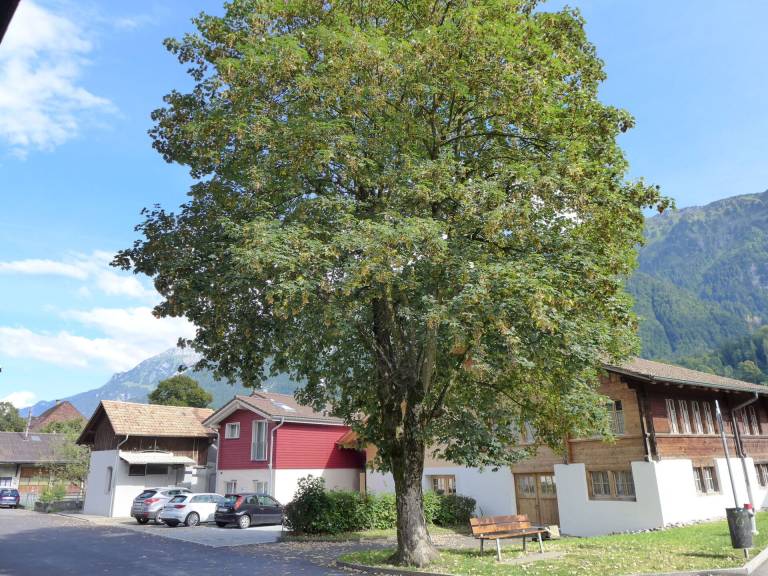 Ferienwohnung  Interlaken