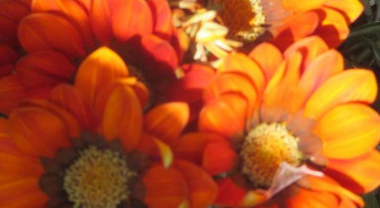 foto11