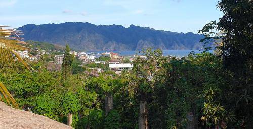 Chalet Coron Island