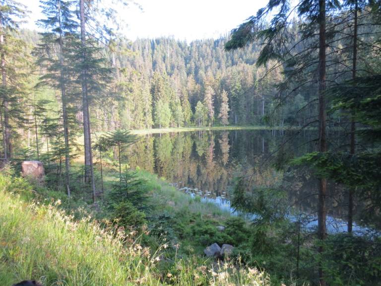 foto28