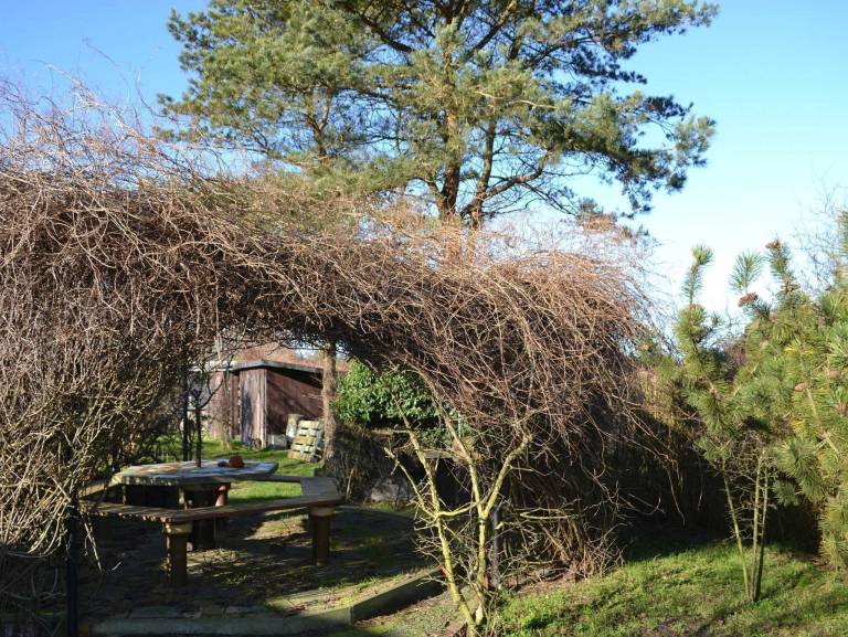 Ferienwohnung Insel Hiddensee