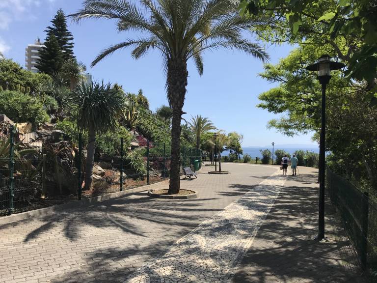 foto40