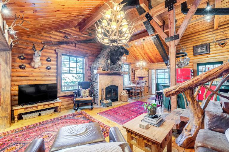 Cabin Park City