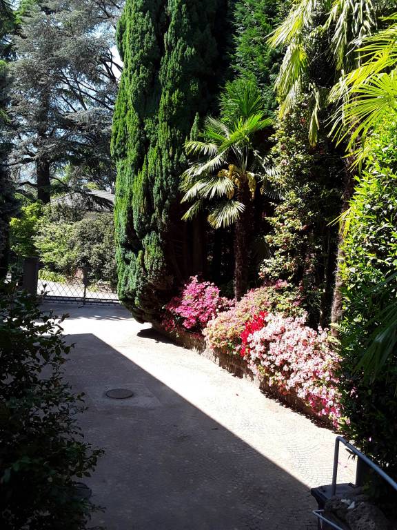 foto23