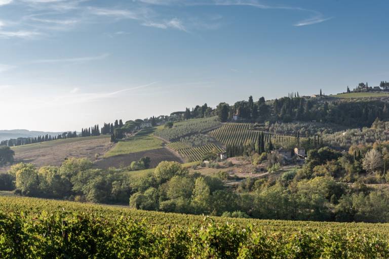 Farmhouse 'Il Pintello - La Lepre' with Shared Pool, Wi-Fi and Air Conditioning — photo 2