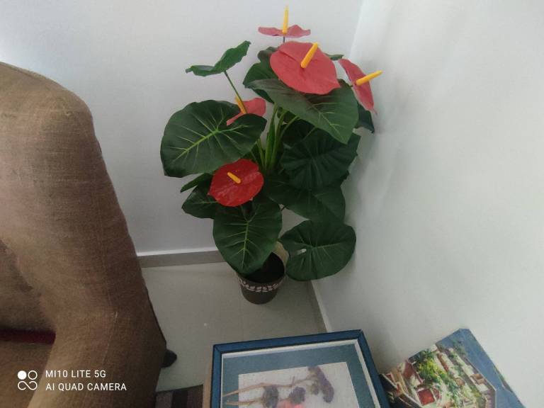 Family-oriented apartment with garden, barbeque & pool | Pets allowed — photo 5