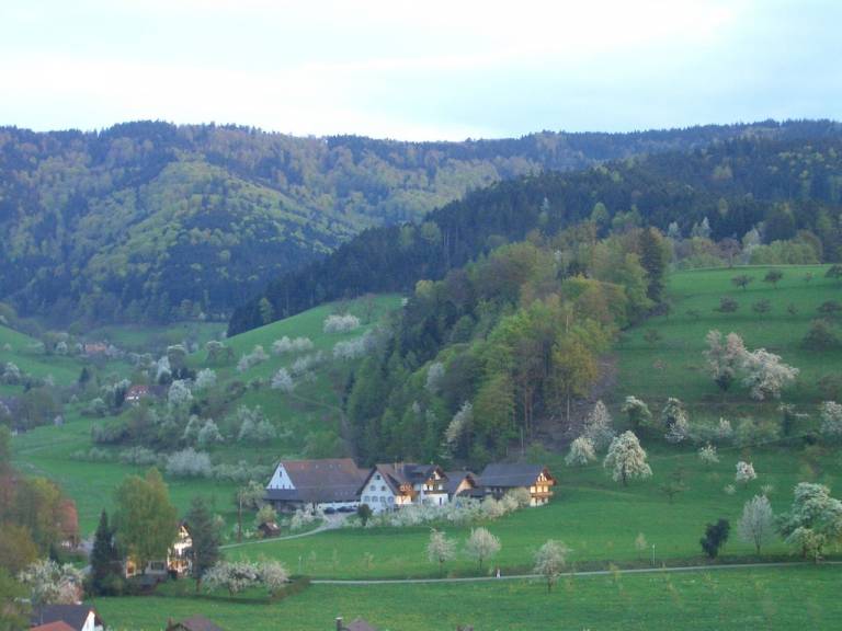 Ferienwohnung  Denzlingen