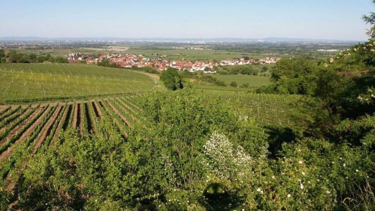 Ferienwohnung Weisenheim am Berg