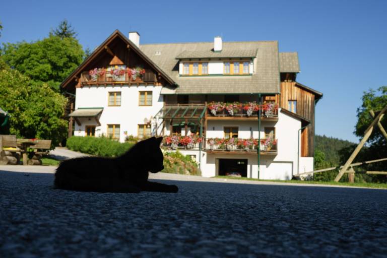 foto9