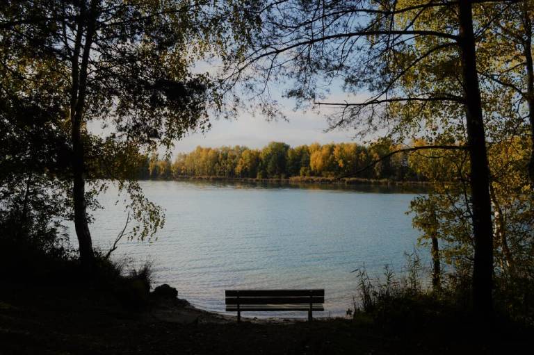 foto36