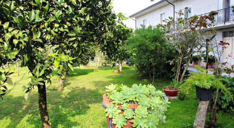 Il Moro Bianco in Caserta