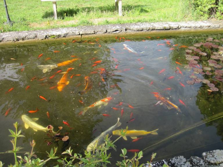 foto8