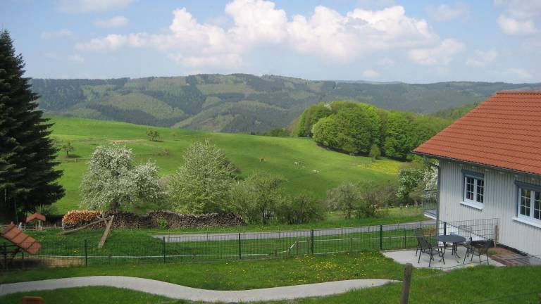 Ferienhaus Mosbach