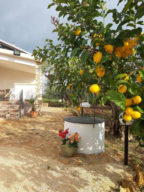 Vacation home with 1 room for 5 persons in Menfi