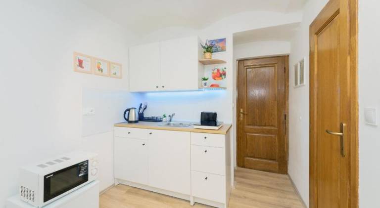 Beautiful rental apartment with garden | Next to Ban Jelačić Square | Good for workation | Dogs allowed — photo 2