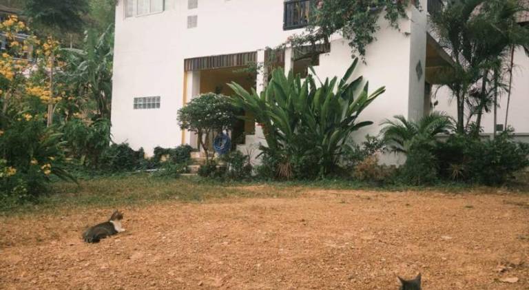 Pleasant holiday apartment with garden & patio | Pet-friendly in Krabi
