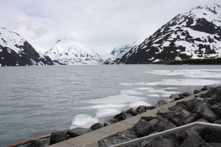 Condo Turnagain