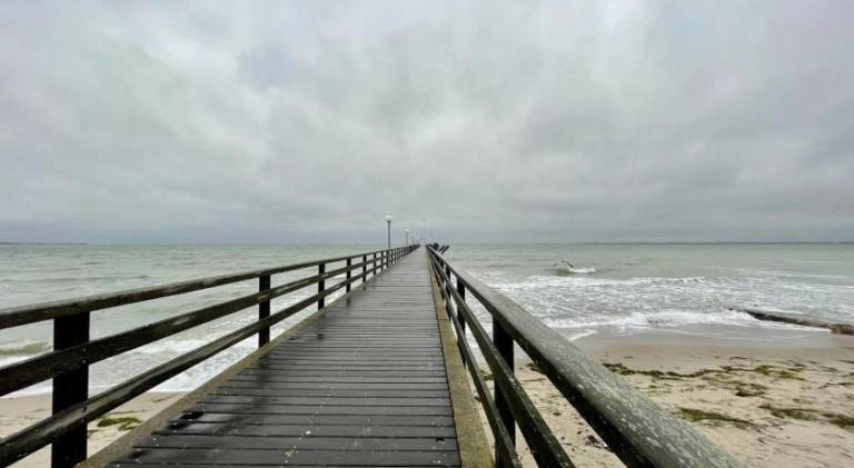 Pleasant holiday apartment | Beach nearby | Pets allowed — photo 5