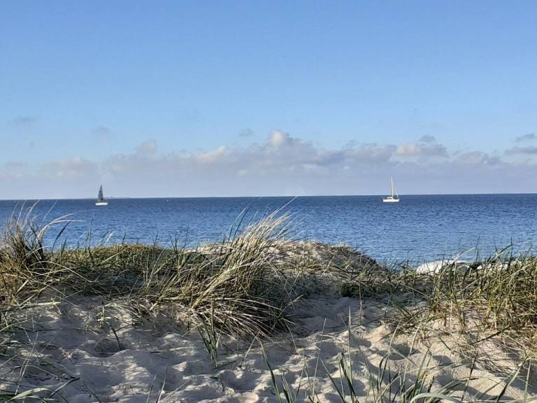 foto20