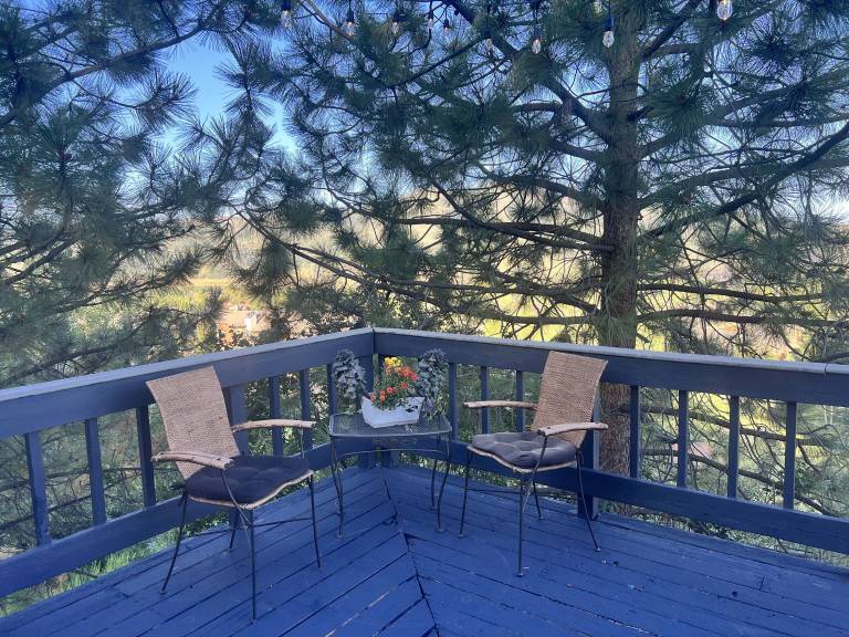 Pet Friendly Vacation Rentals in Steamboat Springs from 112 HomeToGo