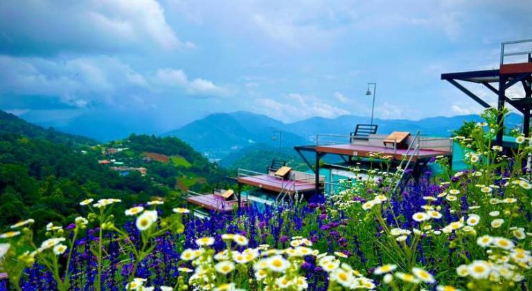แสงเหนือแคมป์ปิ้งม่อนแจ่ม in Mae Rim