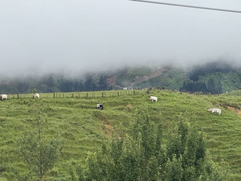 foto13