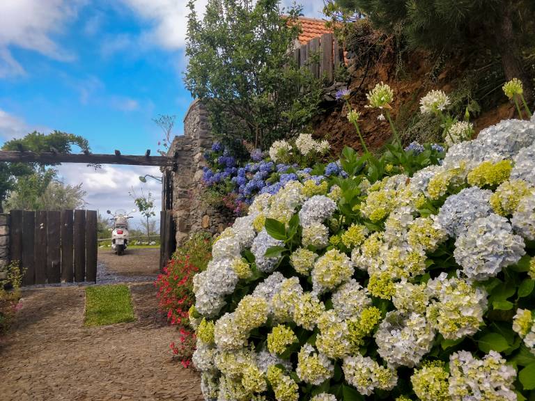 foto28