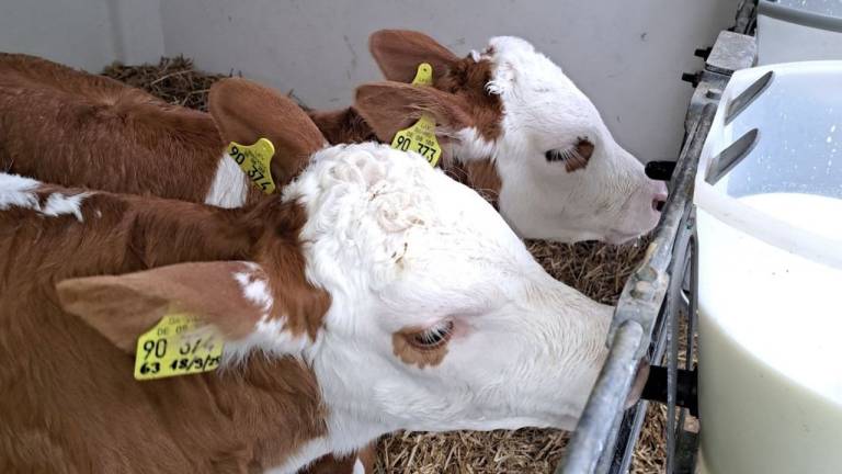 Ferienwohnung Stockach