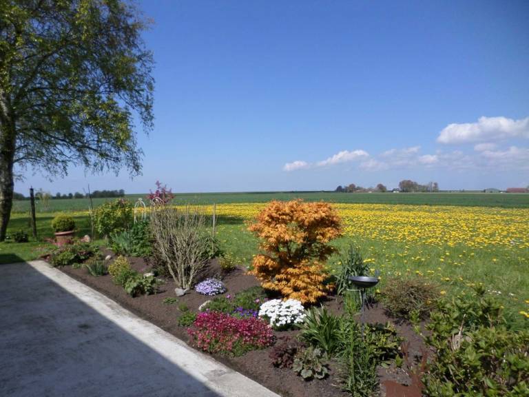 foto12