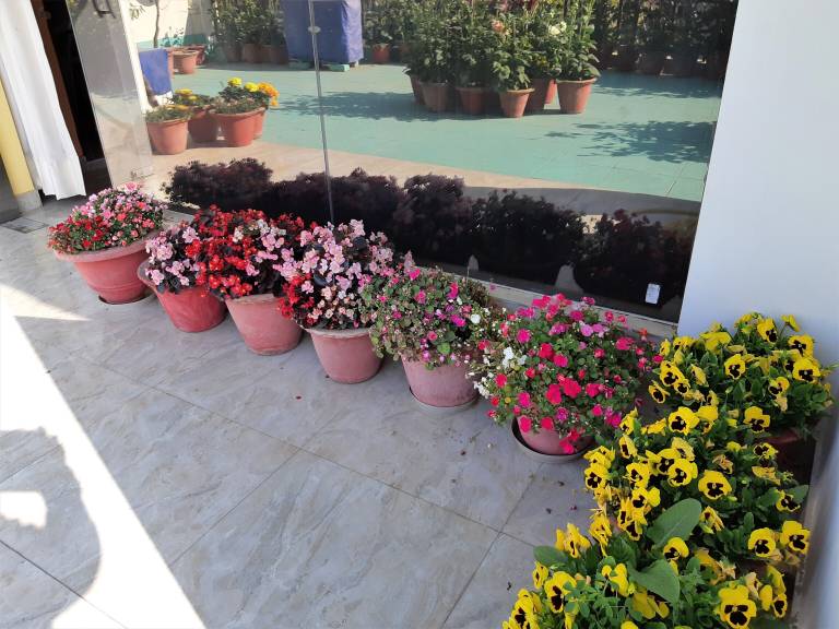 Villa  Vikrant Khand -1